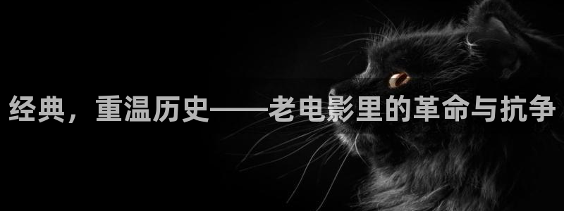 奇优影院电视剧电影