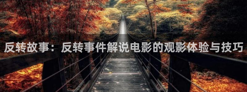 奇优影院的最新版本更新内容