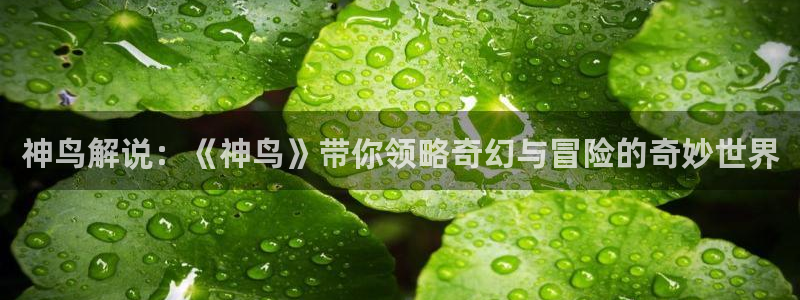 奇优影院在线观看电视剧大全