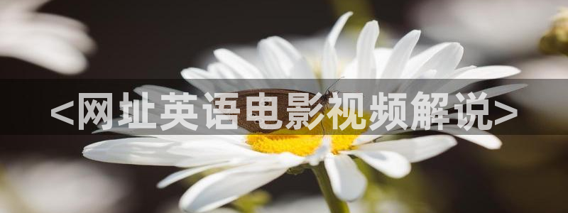 奇优影院手机版登录