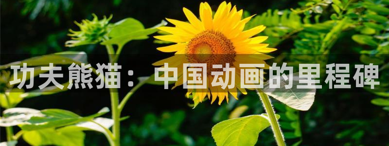 奇优影视手机免费