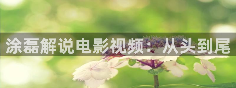 奇优影视电视剧免费在线观看：涂磊解说电影视频：从头到尾