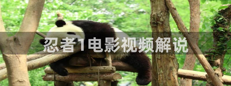 奇优影城