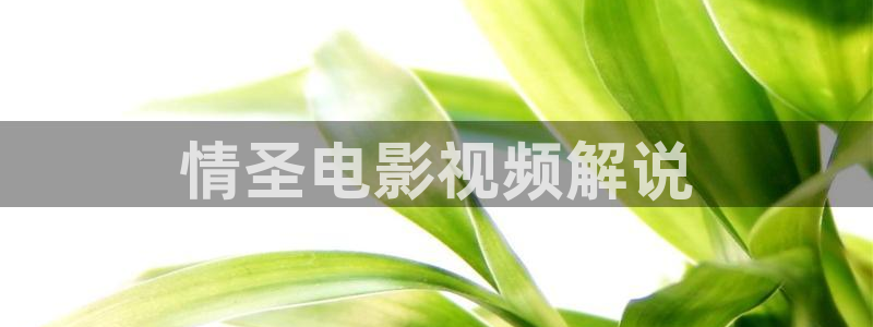 奇优影院手机版免费观看：情圣电影视频解说