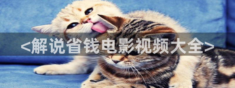 奇优影院美味速递