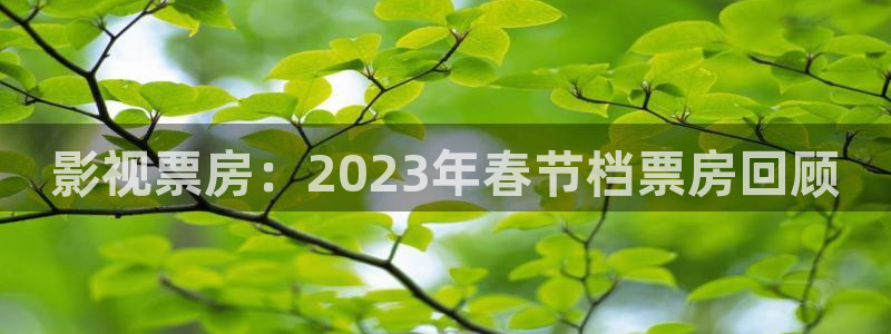 奇优影院播放器