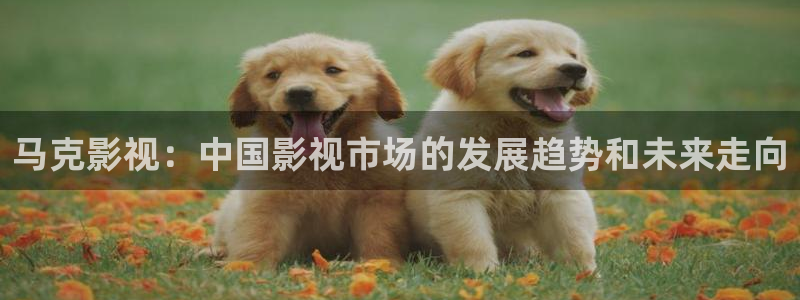 奇优影院电视剧电视剧