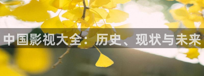我的姐姐奇优影院