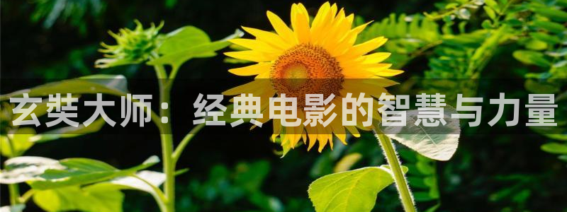 奇优影院电影手机版免费高清电视剧