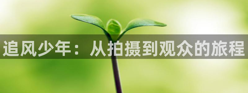 奇优影视