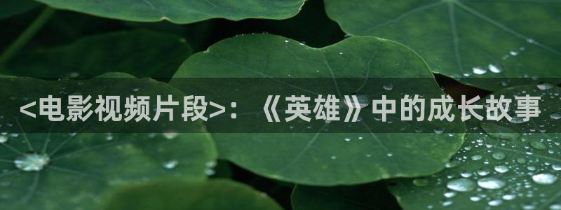 奇优影院手机版免：<电影视频片段>：《英雄》中的成长故事