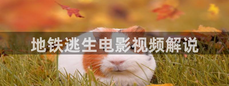 奇优影院在线观看电视剧大全：地铁逃生电影视频解说