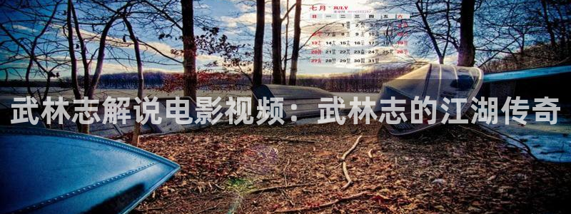 奇优影院手机极速：武林志解说电影视频：武林志的江湖传奇