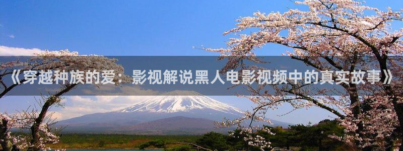 奇优影视免费观看电视剧电视剧：《穿越种族的爱：影视解说黑人电影视频中的真实故事》