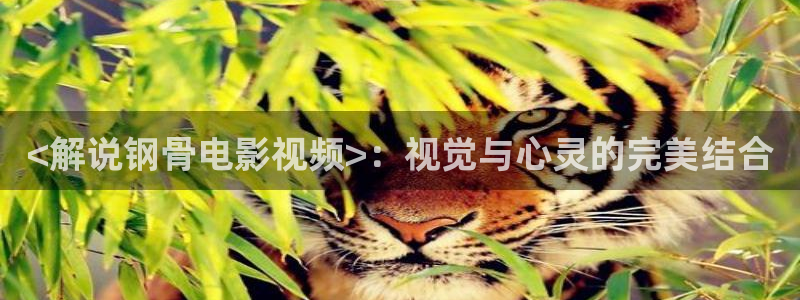 奇优影院免费看电影电视剧：<解说钢骨电影视频>：视觉与心灵的完美结合