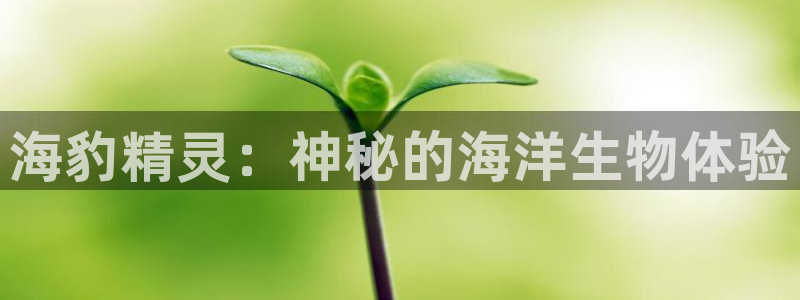 奇优影院2023：海豹精灵：神秘的海洋生物体验