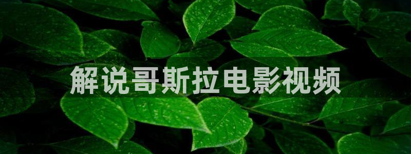 奇优影院手机版在线观看电视：解说哥斯拉电影视频