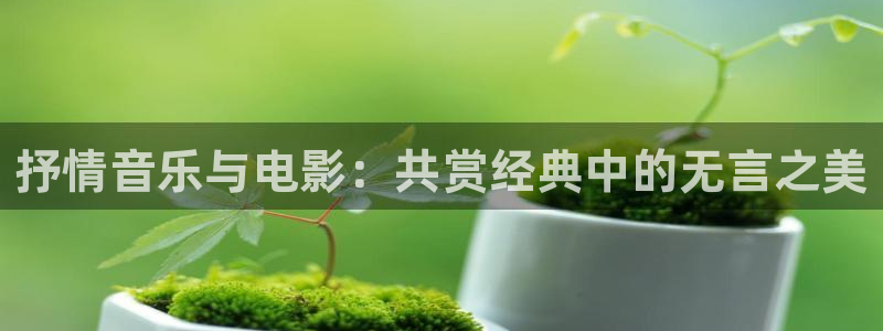 奇优影视手机版免费观看全集：抒情音乐与电影：共赏经典中的无言之美