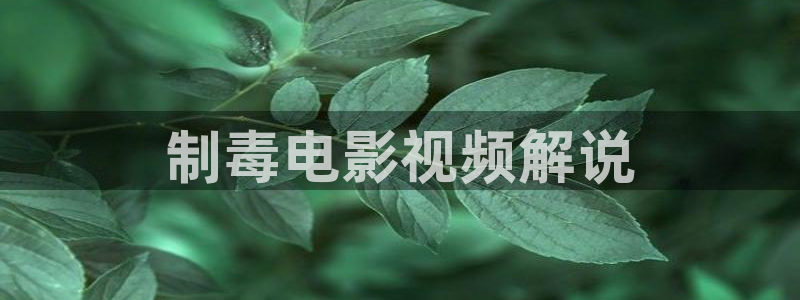 旧版奇优影院手机版电视剧：制毒电影视频解说