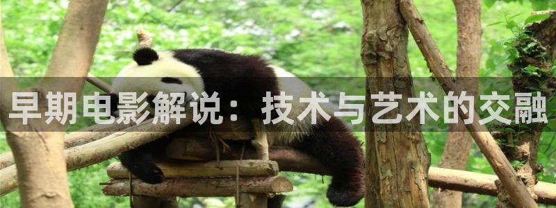 奇优影院在线观看免费播放电视剧：早期电影解说：技术与艺术的交融