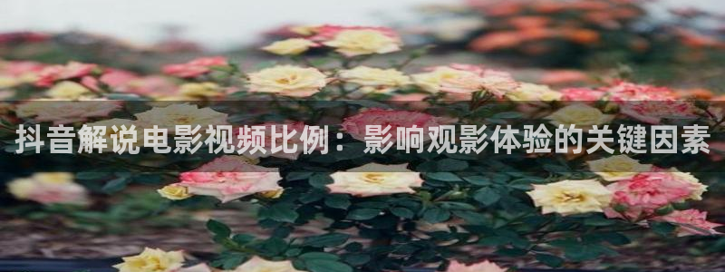 奇优影视手机版理论片：抖音解说电影视频比例：影响观影体验的关键因素