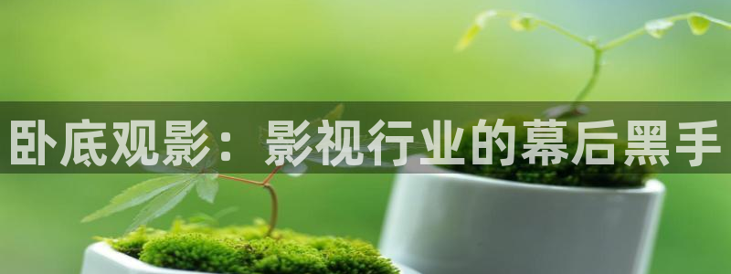 奇优影视在线：卧底观影：影视行业的幕后黑手