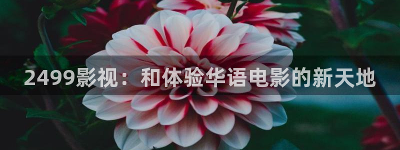 奇优影院手机高清版免费版：2499影视：和体验华语电影的新天地