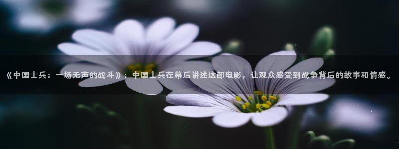 奇优影视在线观看电视剧免费高清：《中国士兵：一场无声的战斗》：中国士兵在幕后讲述这部电影，让观众感受到战争背后的故事和情感。
