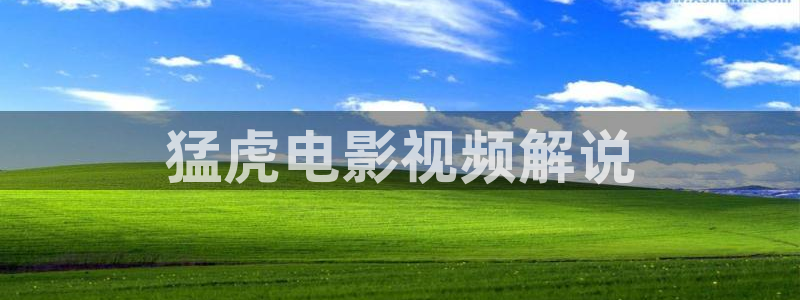 奇优影院高清免费：猛虎电影视频解说