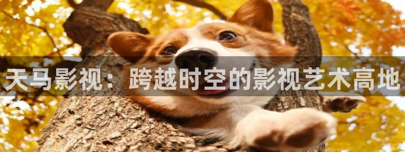 奇优影院最新：天马影视：跨越时空的影视艺术高地