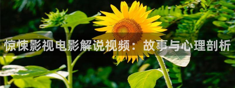 奇优影院2026：惊悚影视电影解说视频：故事与心理剖析