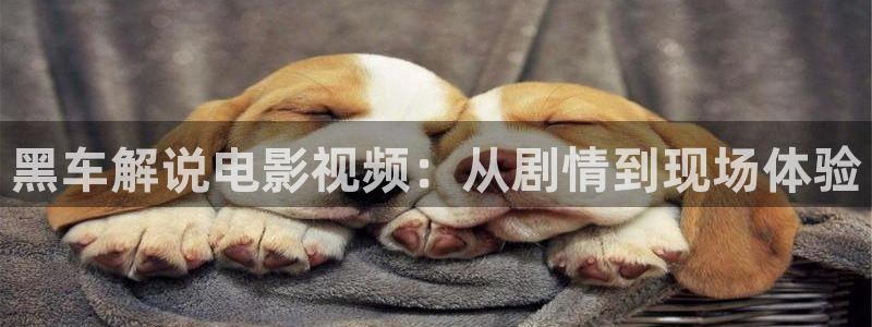 奇优影院免费版高清在线观看：黑车解说电影视频：从剧情到现场体验