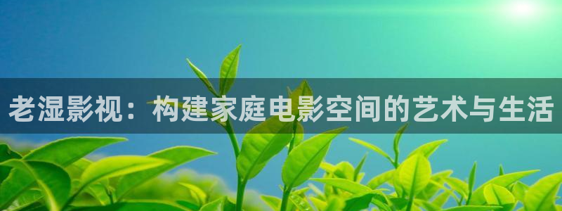 奇优影院最新免费的电视剧电影：老湿影视：构建家庭电影空间的艺术与生活
