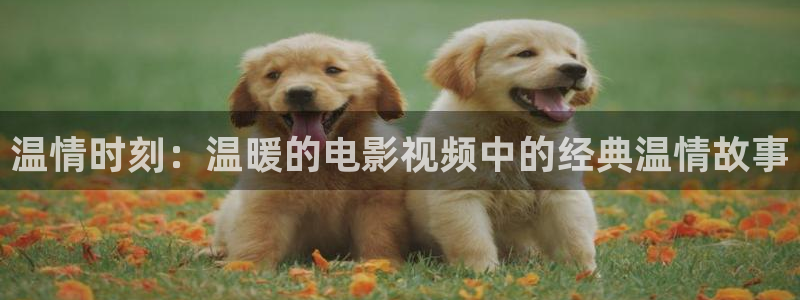 奇优影院短视频：温情时刻：温暖的电影视频中的经典温情故事