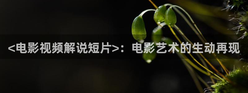 奇优影院在线观看mp4：<电影视频解说短片>：电影艺术的生动再现