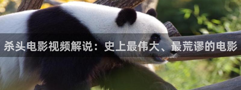 奇优影院手机电影：杀头电影视频解说：史上最伟大、最荒谬的电影