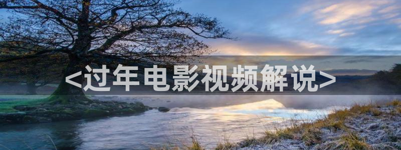 奇优影院高清电视剧在线看视频：<过年电影视频解说>